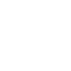 icon-01-w