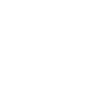 icon-03-w