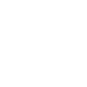 icon-04-w